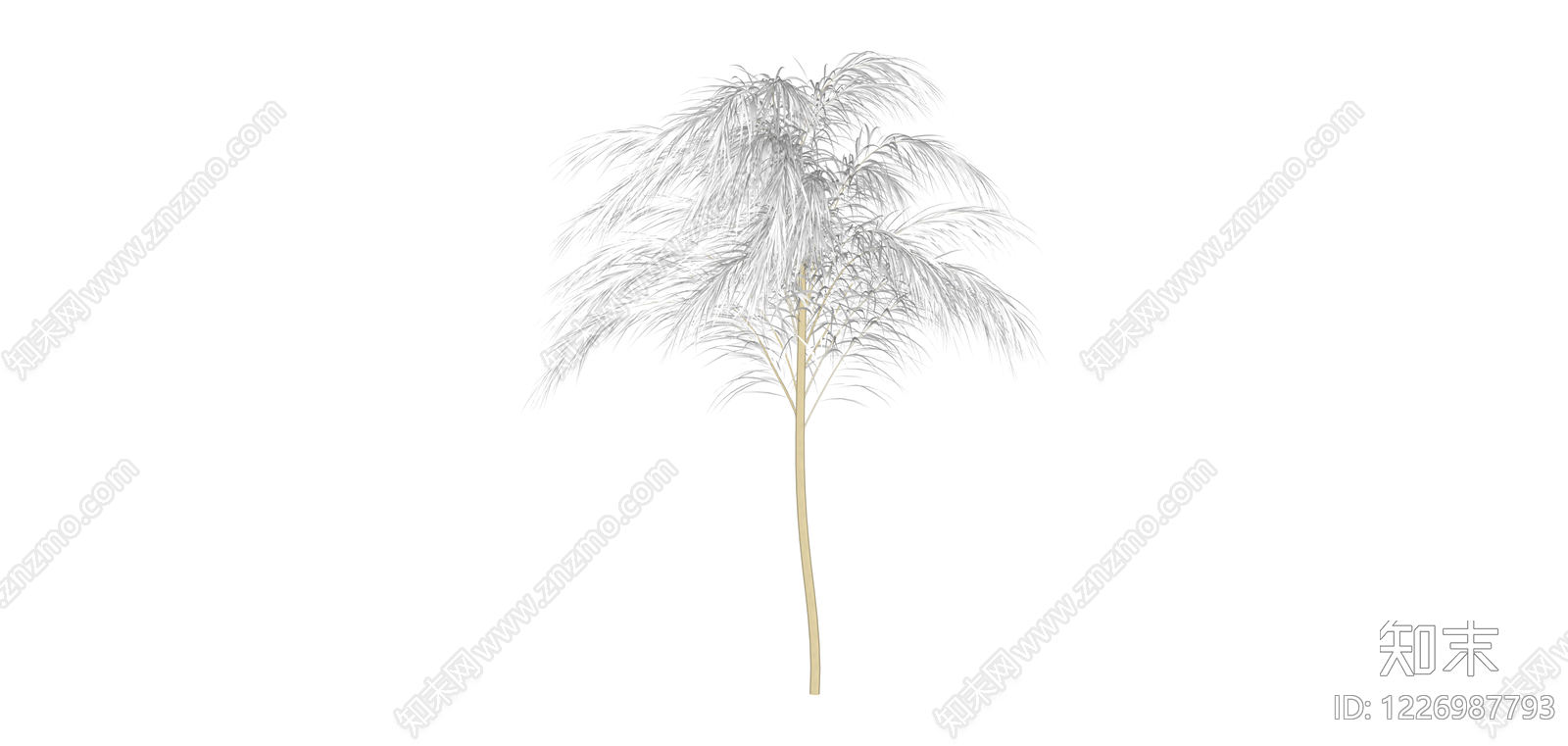 白模观赏草植物SU模型下载【ID:1226987793】