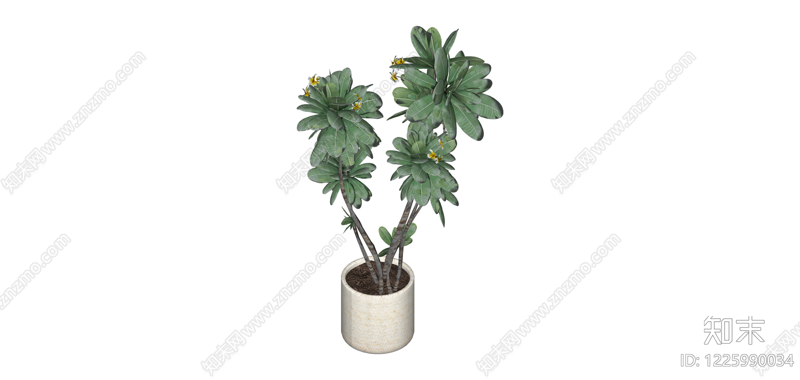 盆栽绿植模型SU模型下载【ID:1225990034】