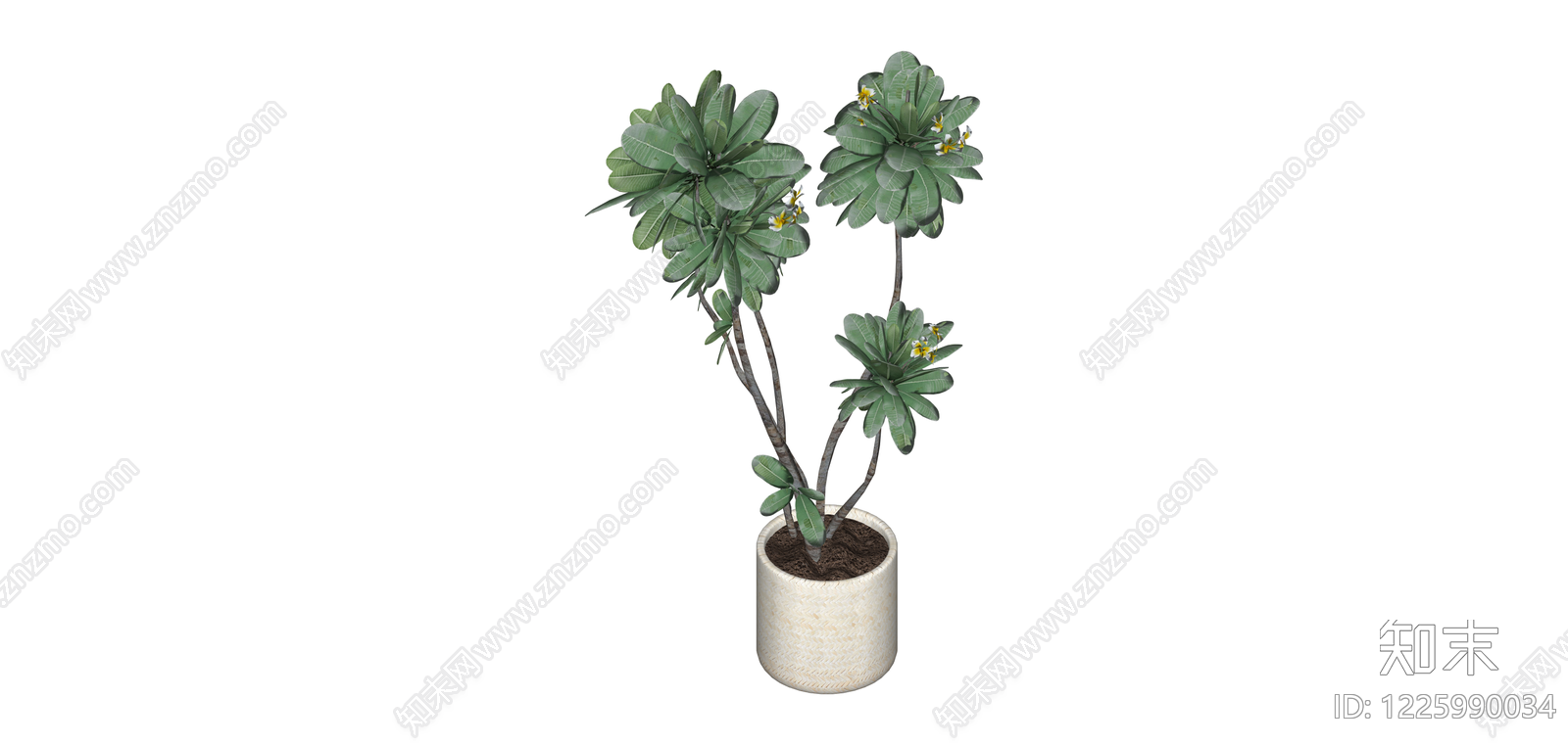 盆栽绿植模型SU模型下载【ID:1225990034】