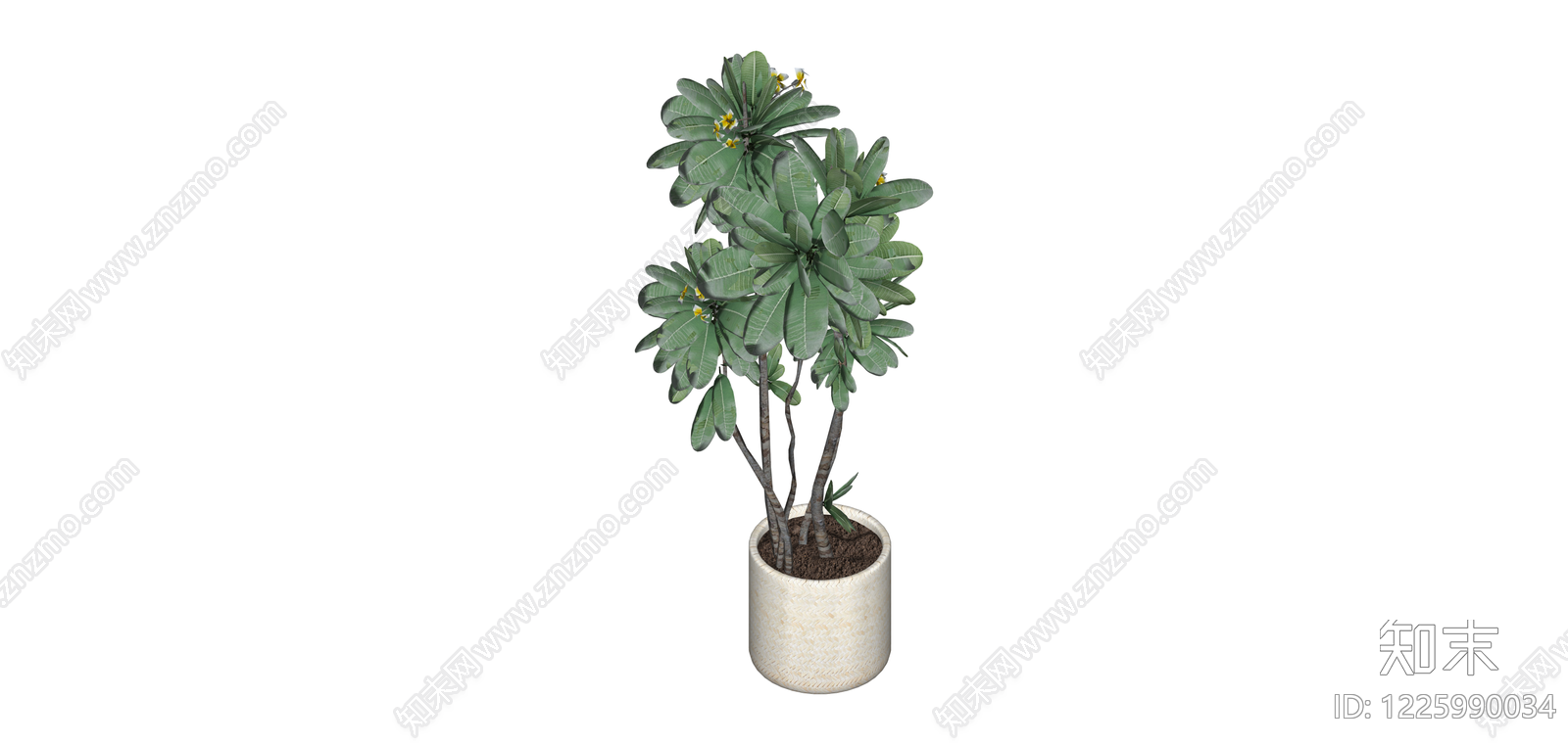 盆栽绿植模型SU模型下载【ID:1225990034】