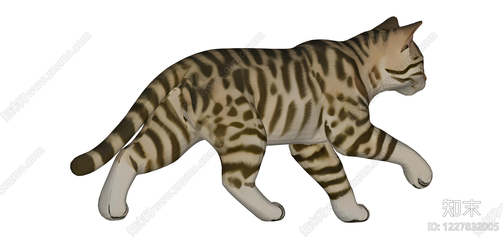虎斑纹猫模型SU模型下载【ID:1227832005】