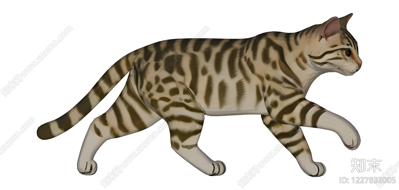 虎斑纹猫模型SU模型下载【ID:1227832005】