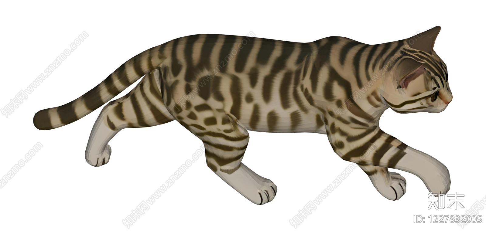 虎斑纹猫模型SU模型下载【ID:1227832005】