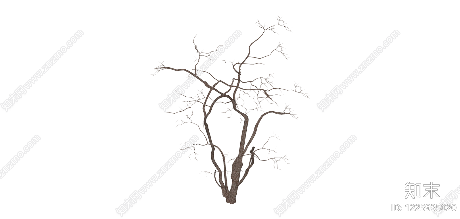 枯树景观模型SU模型下载【ID:1225935020】