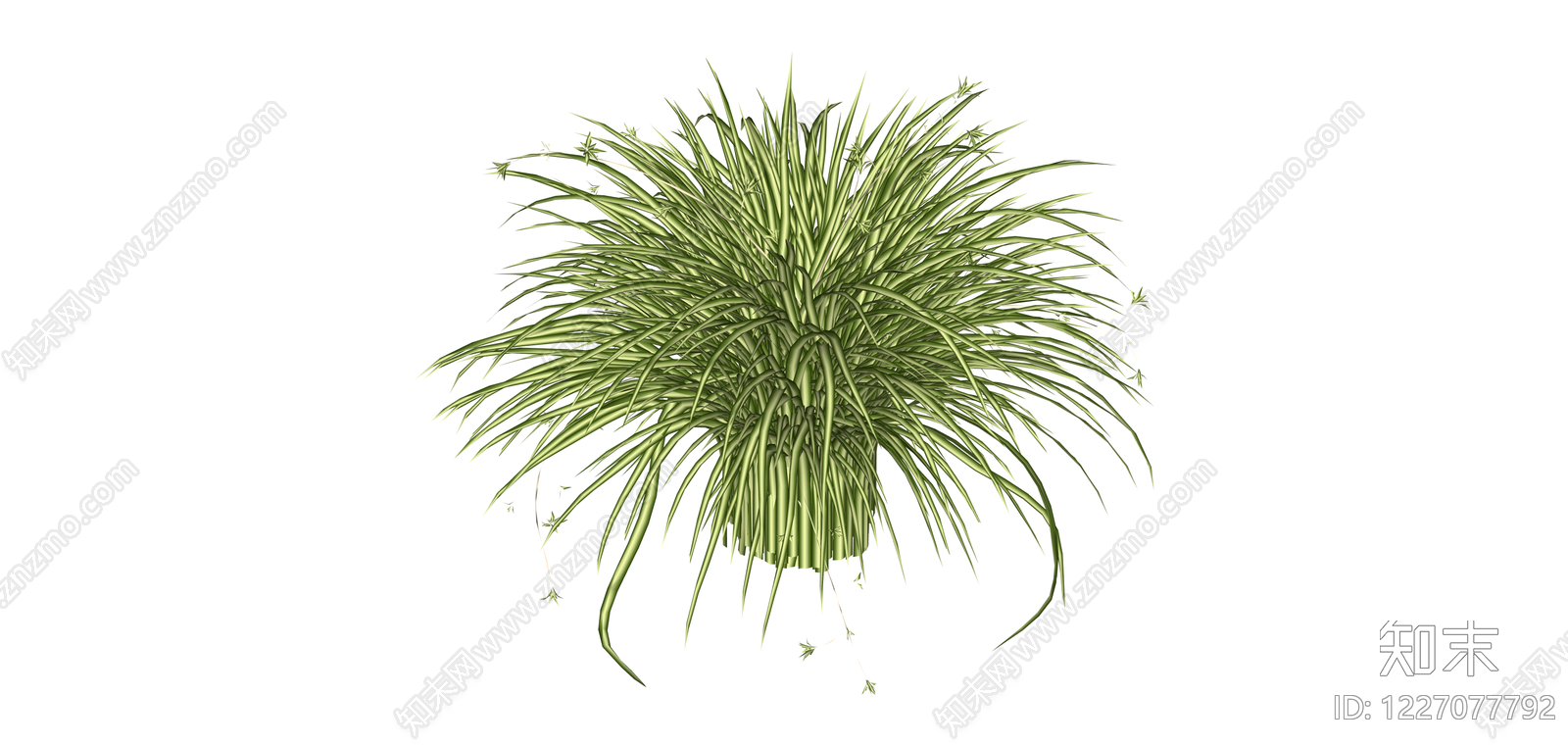丛生观赏草绿植SU模型下载【ID:1227077792】