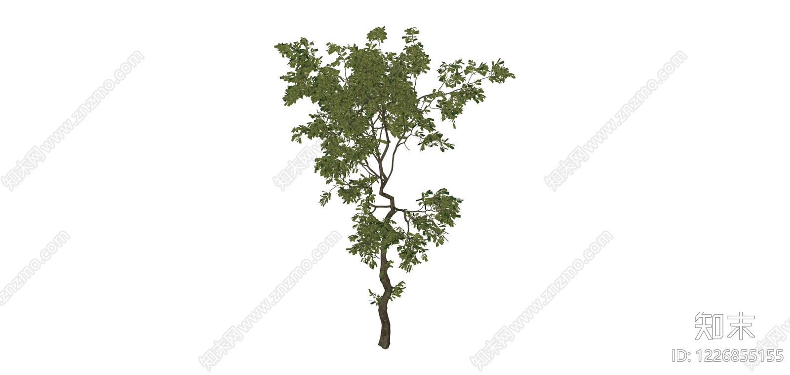 独立景观树木模型SU模型下载【ID:1226855155】