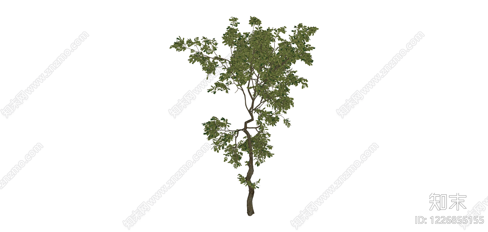 独立景观树木模型SU模型下载【ID:1226855155】