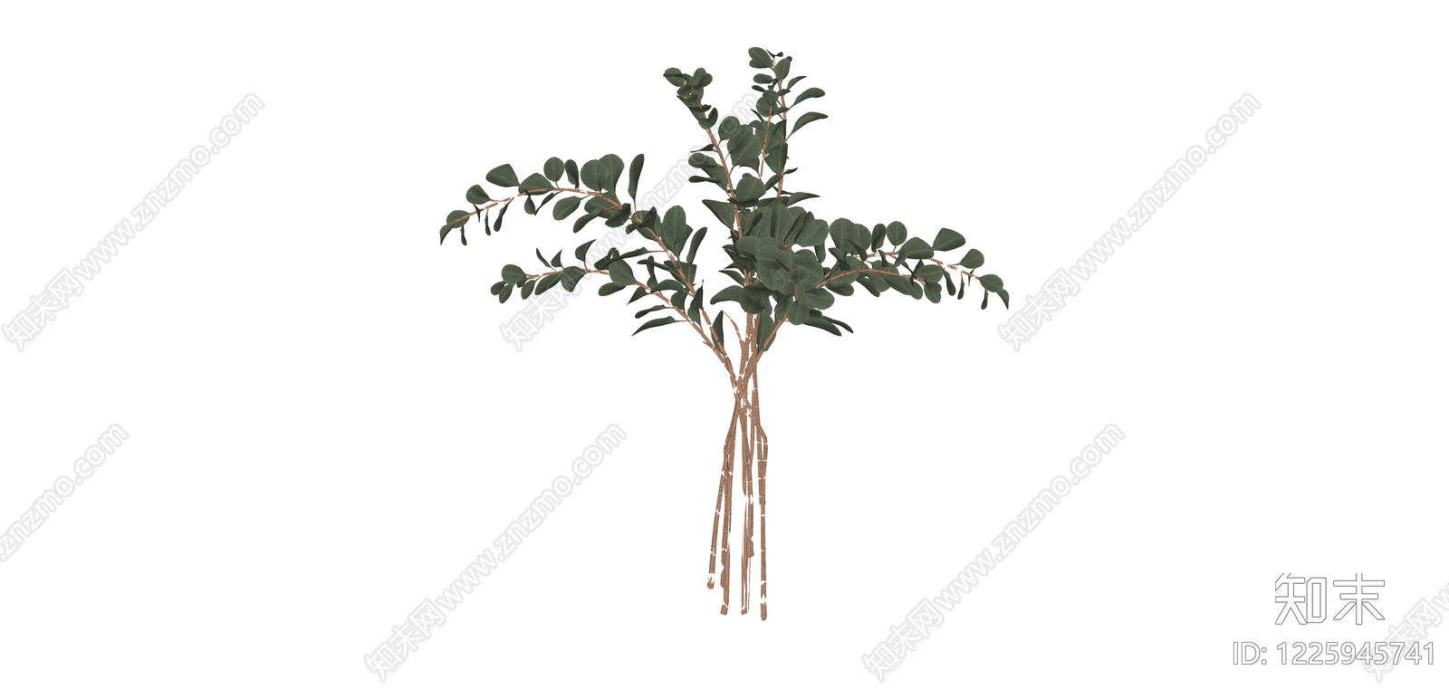 仿真尤加利叶植物束SU模型下载【ID:1225945741】