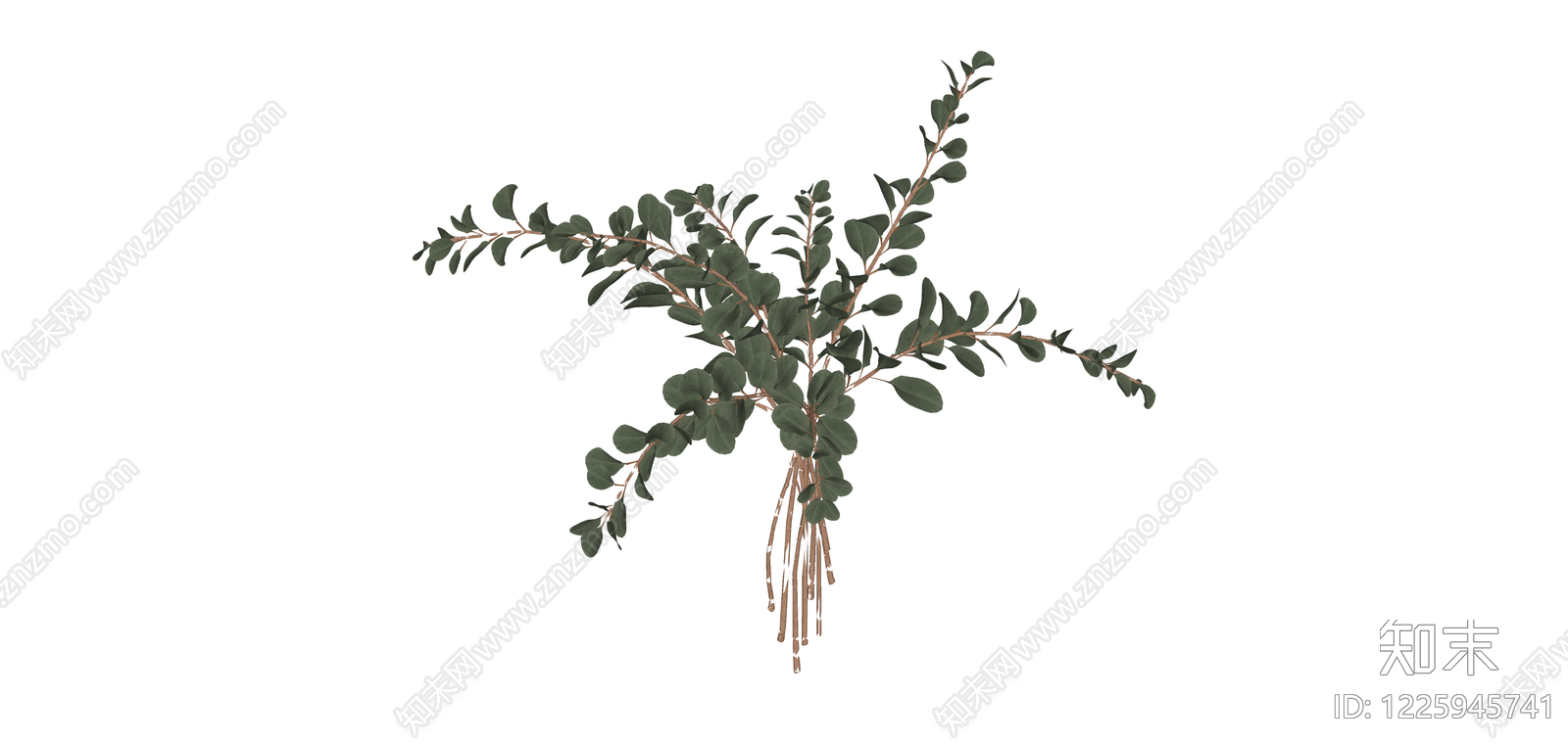 仿真尤加利叶植物束SU模型下载【ID:1225945741】
