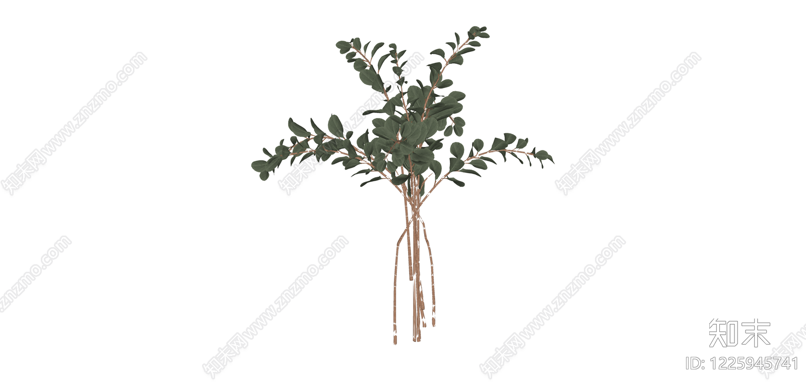 仿真尤加利叶植物束SU模型下载【ID:1225945741】