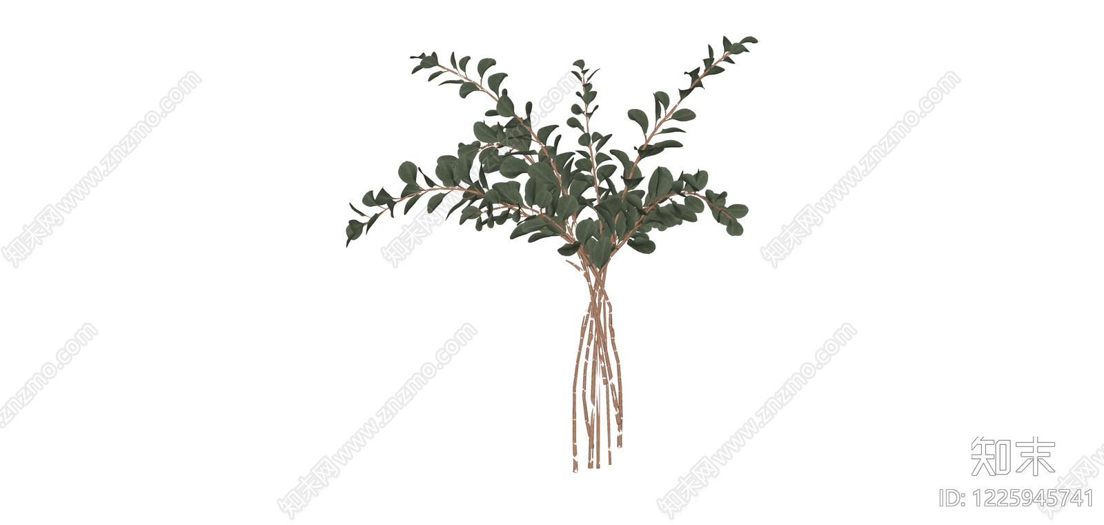 仿真尤加利叶植物束SU模型下载【ID:1225945741】