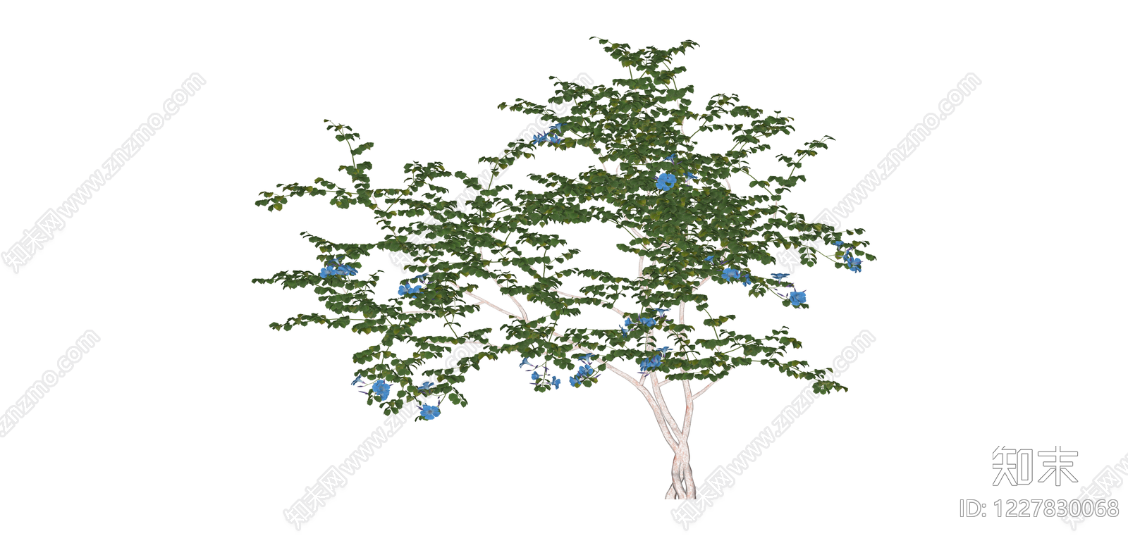 蓝花绿叶景观树SU模型下载【ID:1227830068】