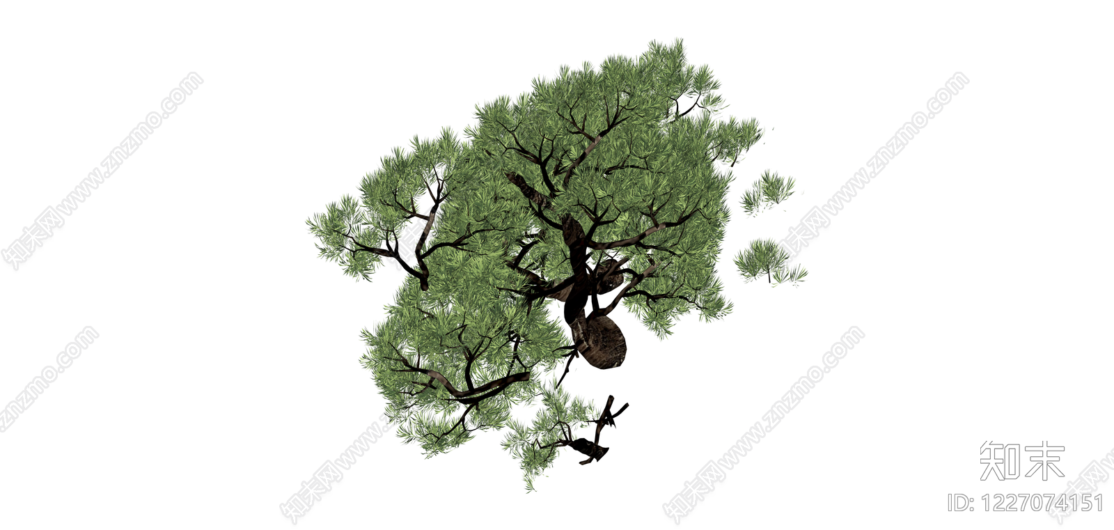 造型松树景观植物SU模型下载【ID:1227074151】