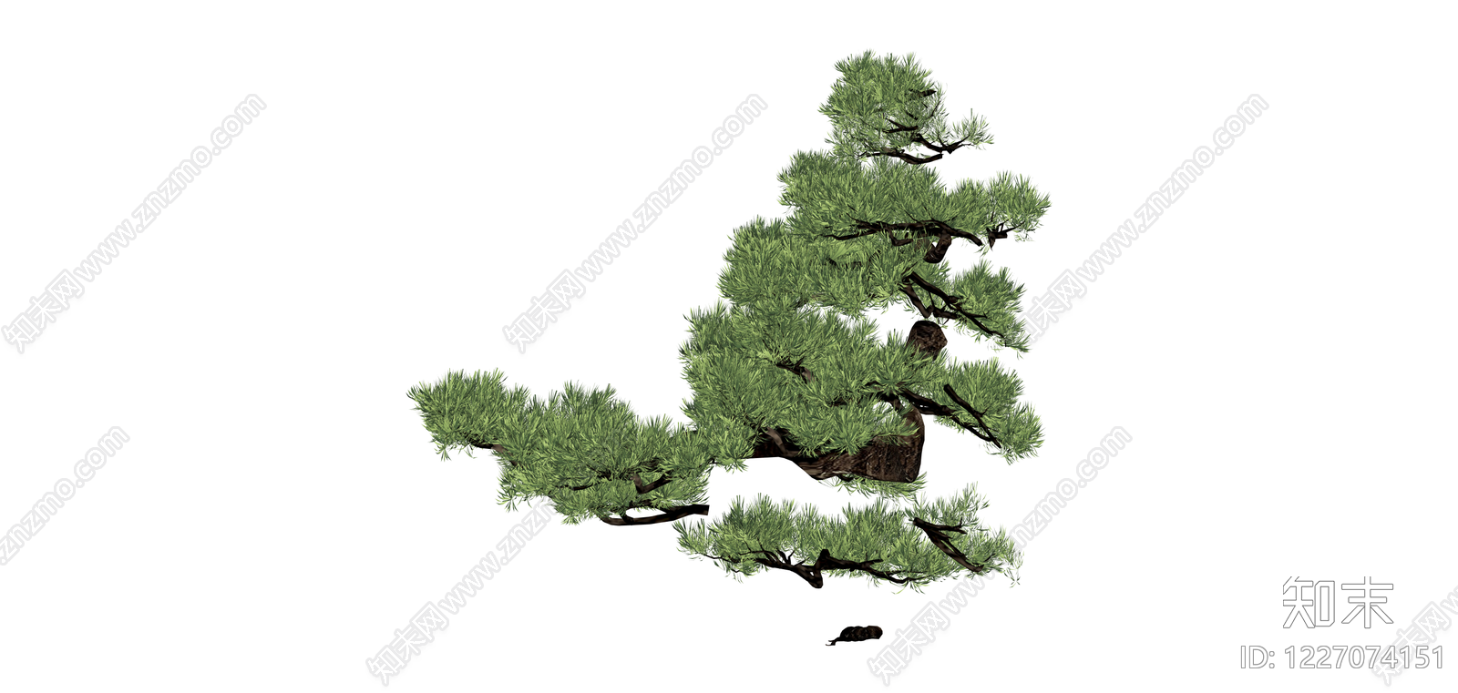 造型松树景观植物SU模型下载【ID:1227074151】