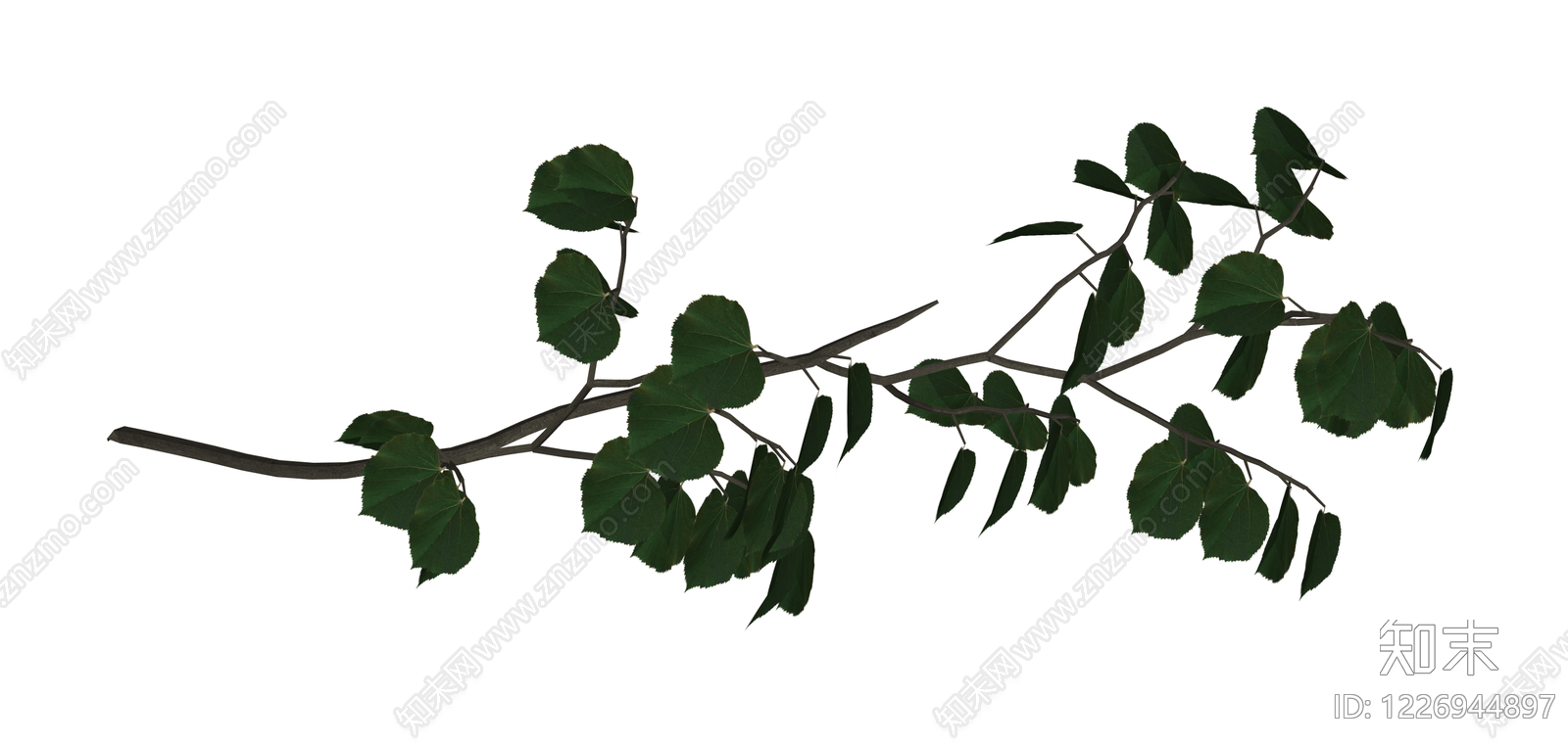带叶树枝模型SU模型下载【ID:1226944897】