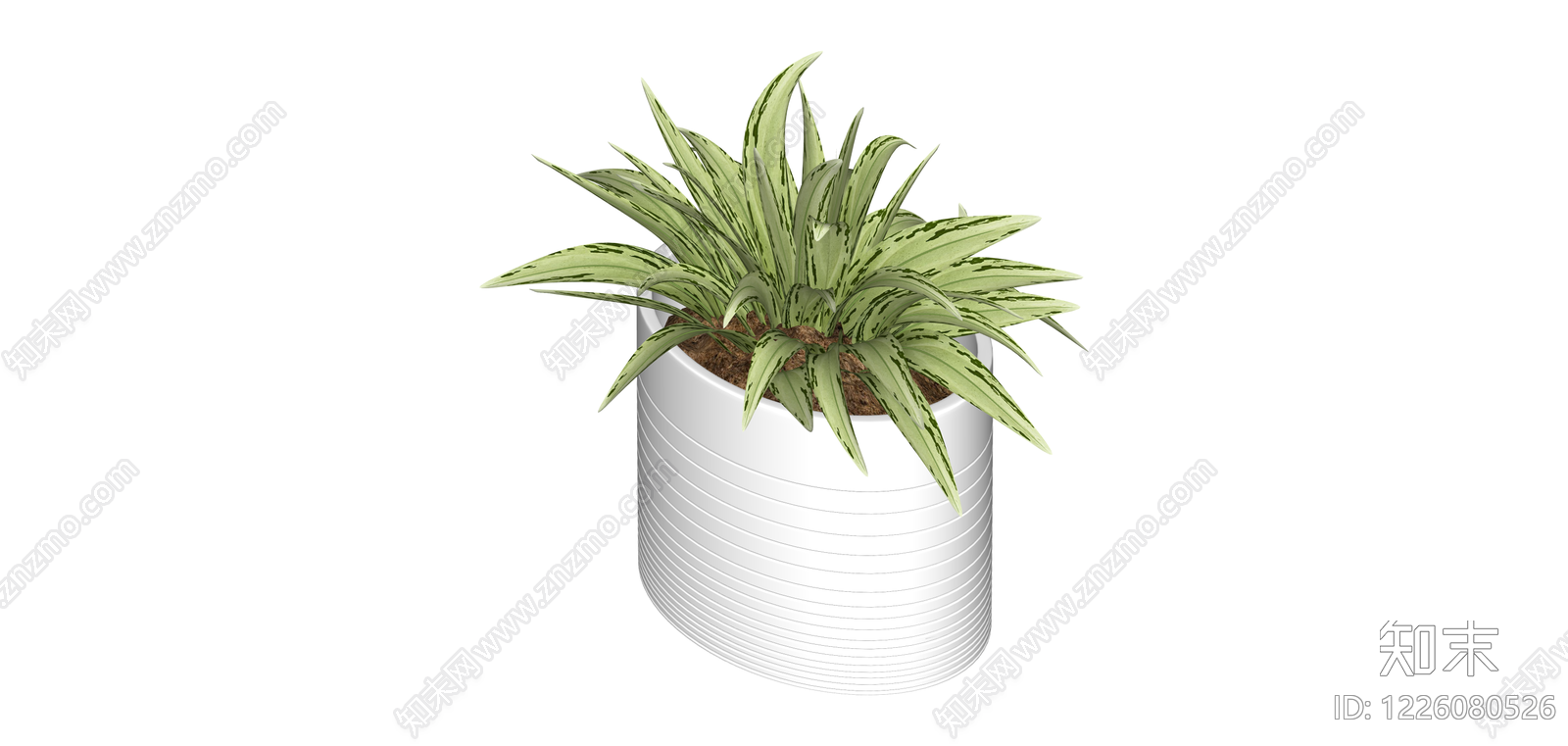 白色条纹盆栽植物SU模型下载【ID:1226080526】