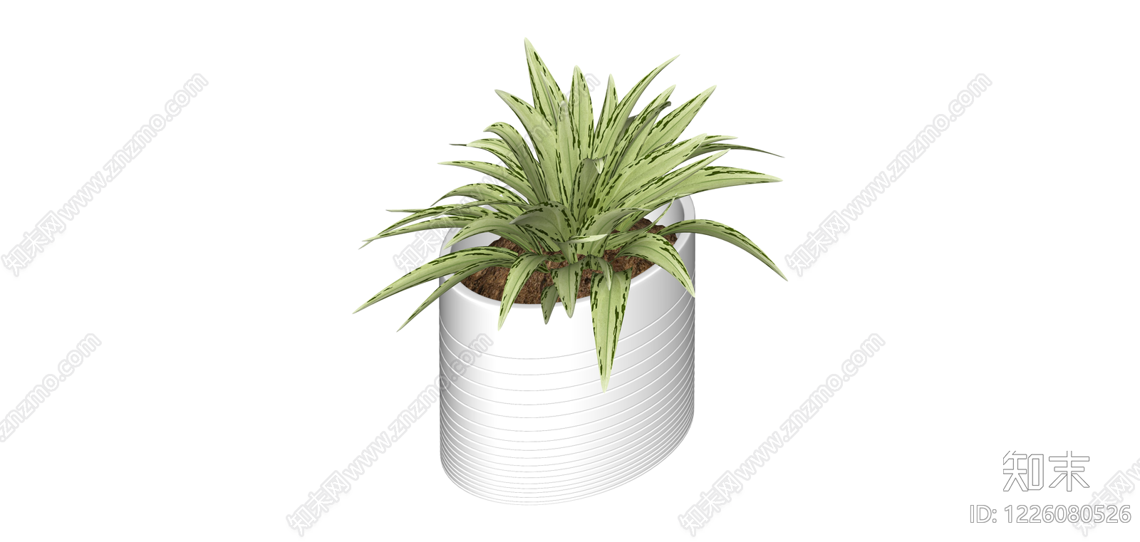 白色条纹盆栽植物SU模型下载【ID:1226080526】