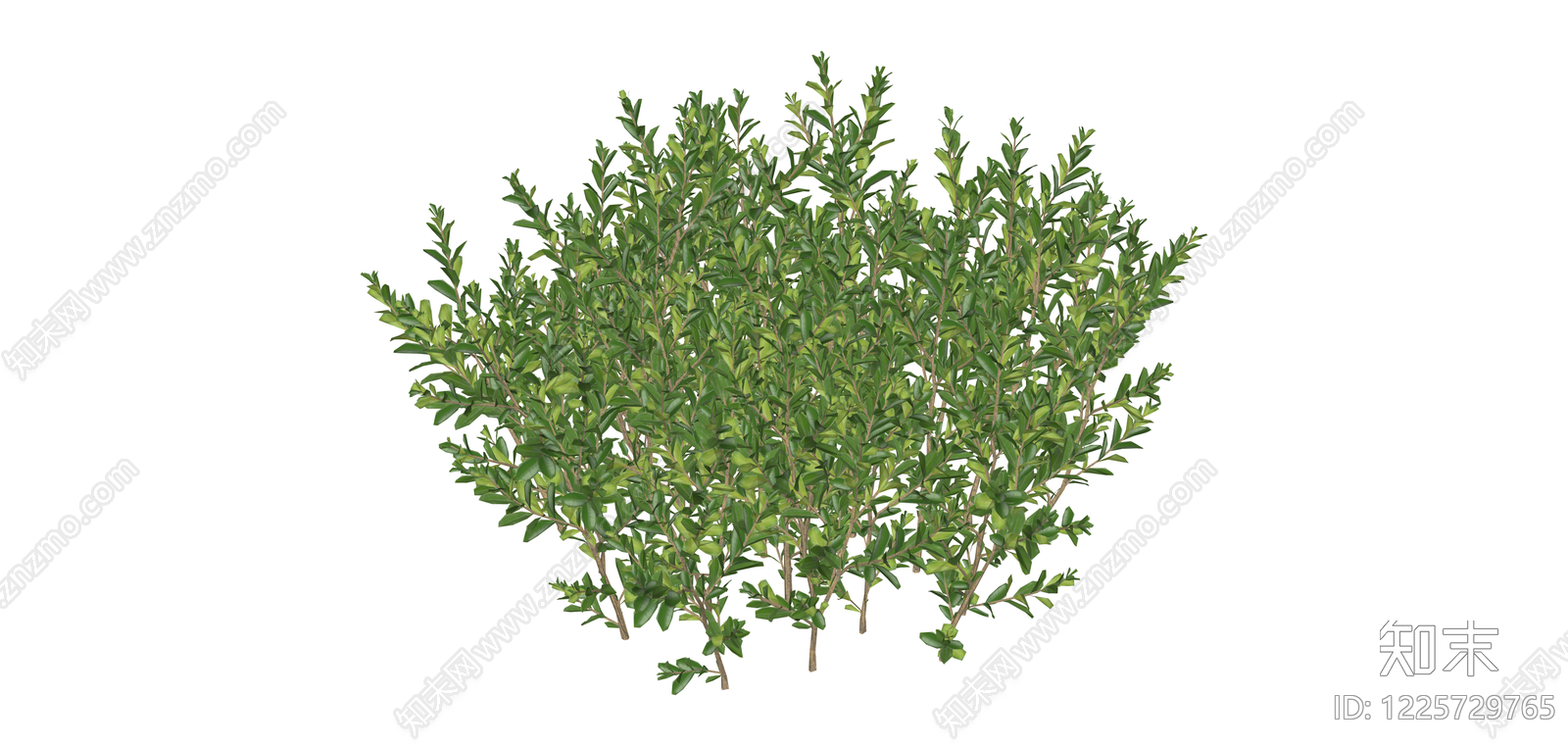 丛生灌木绿植模型SU模型下载【ID:1225729765】