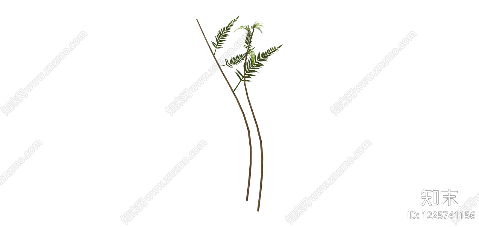 独立蕨类植物模型SU模型下载【ID:1225741156】