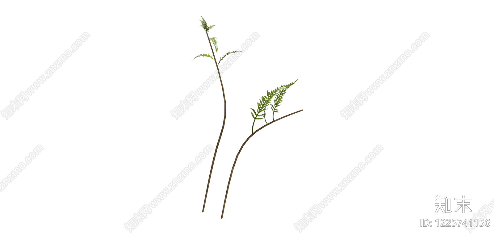 独立蕨类植物模型SU模型下载【ID:1225741156】