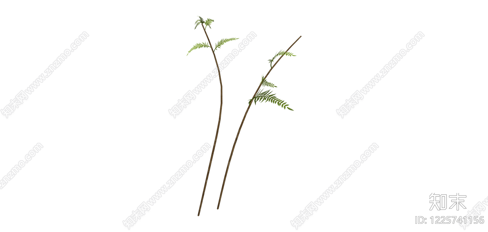 独立蕨类植物模型SU模型下载【ID:1225741156】