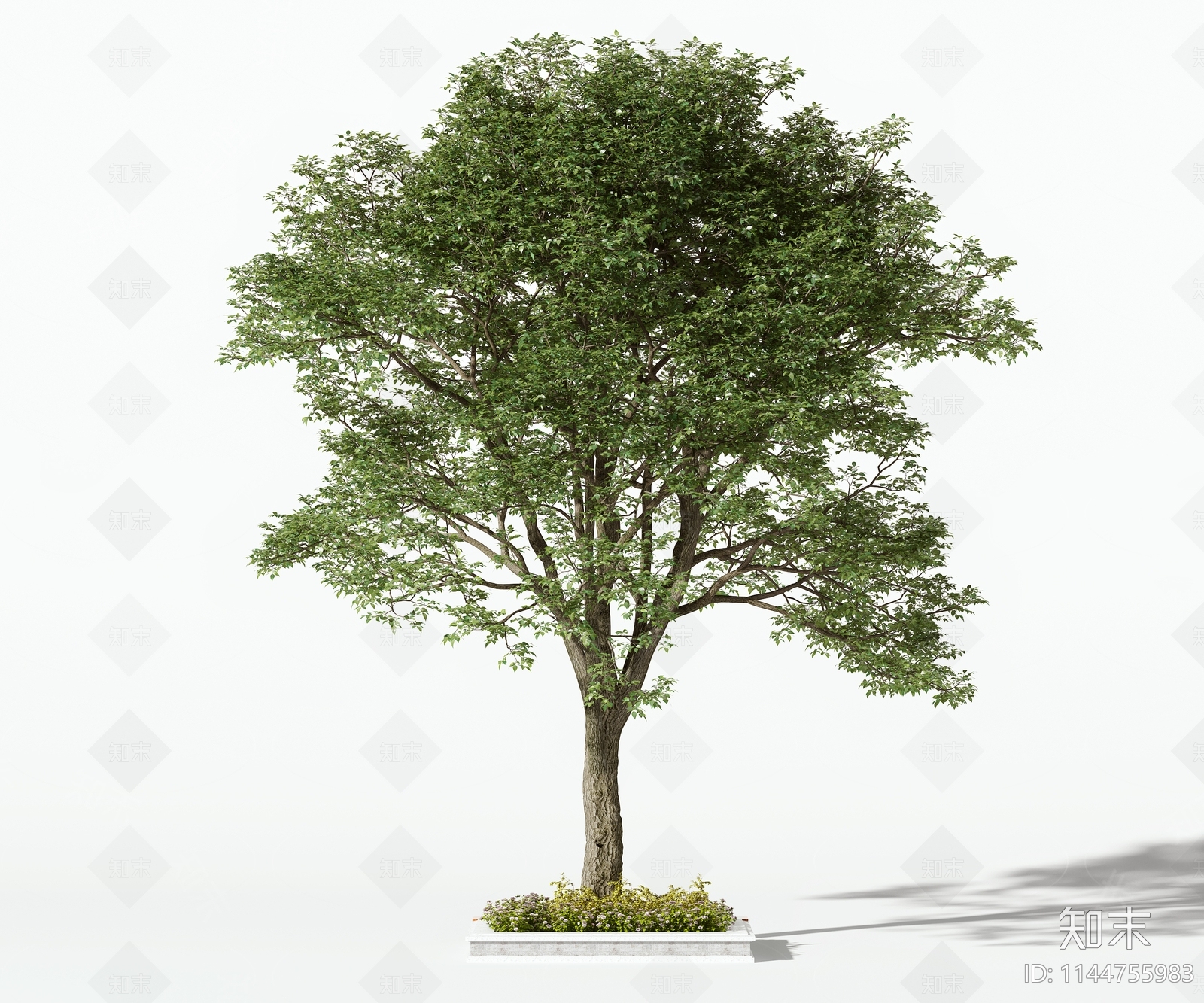 树木3D模型下载【ID:1144755983】_知末3d模型网